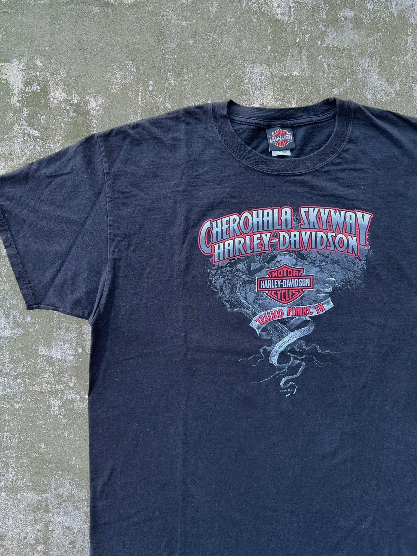 2014 Harley Davidson Dragon Tee (XL)
