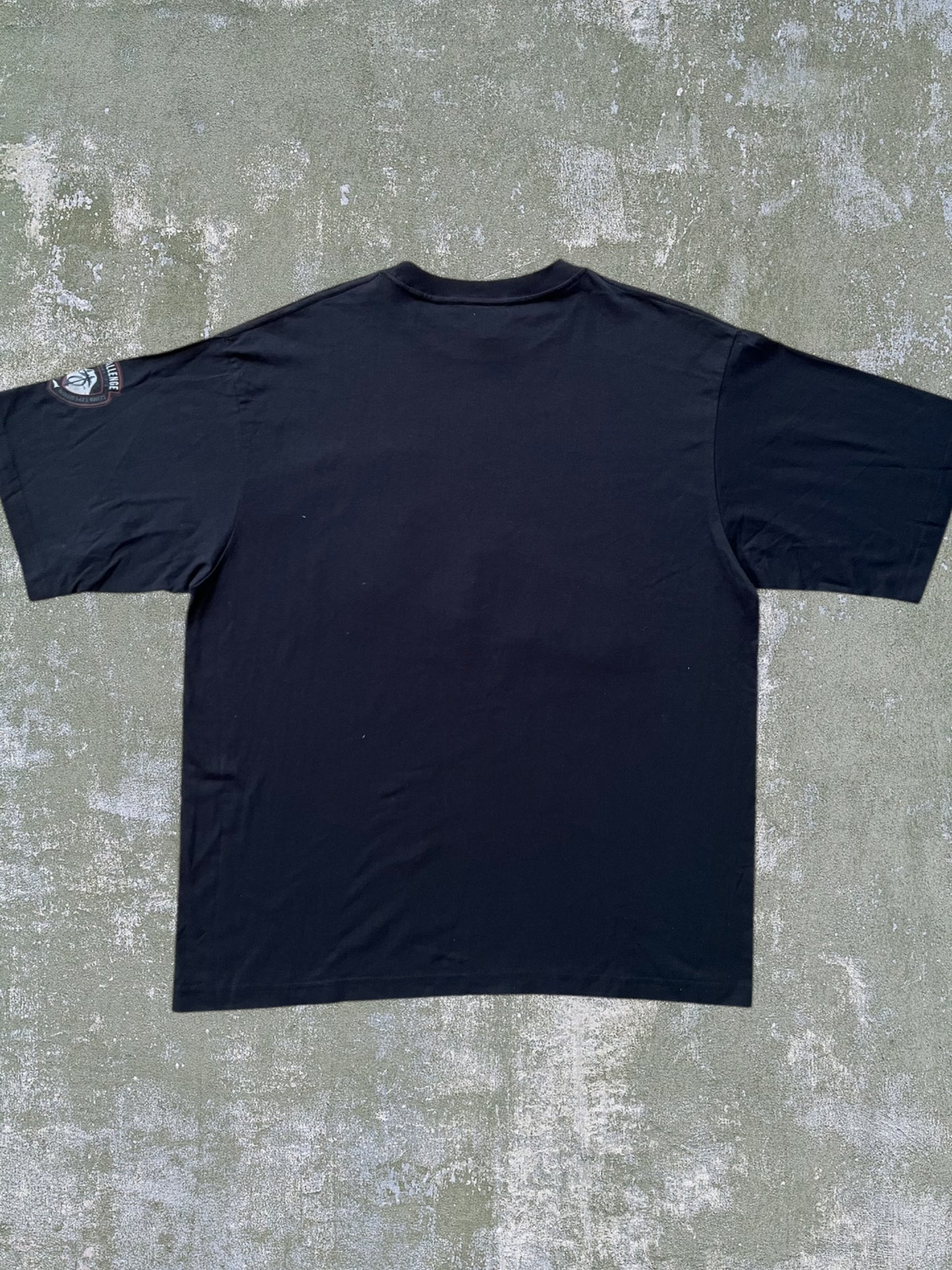 Early-2000s Avirex Mountain Summit Series Tee (XL) (New With Tags)