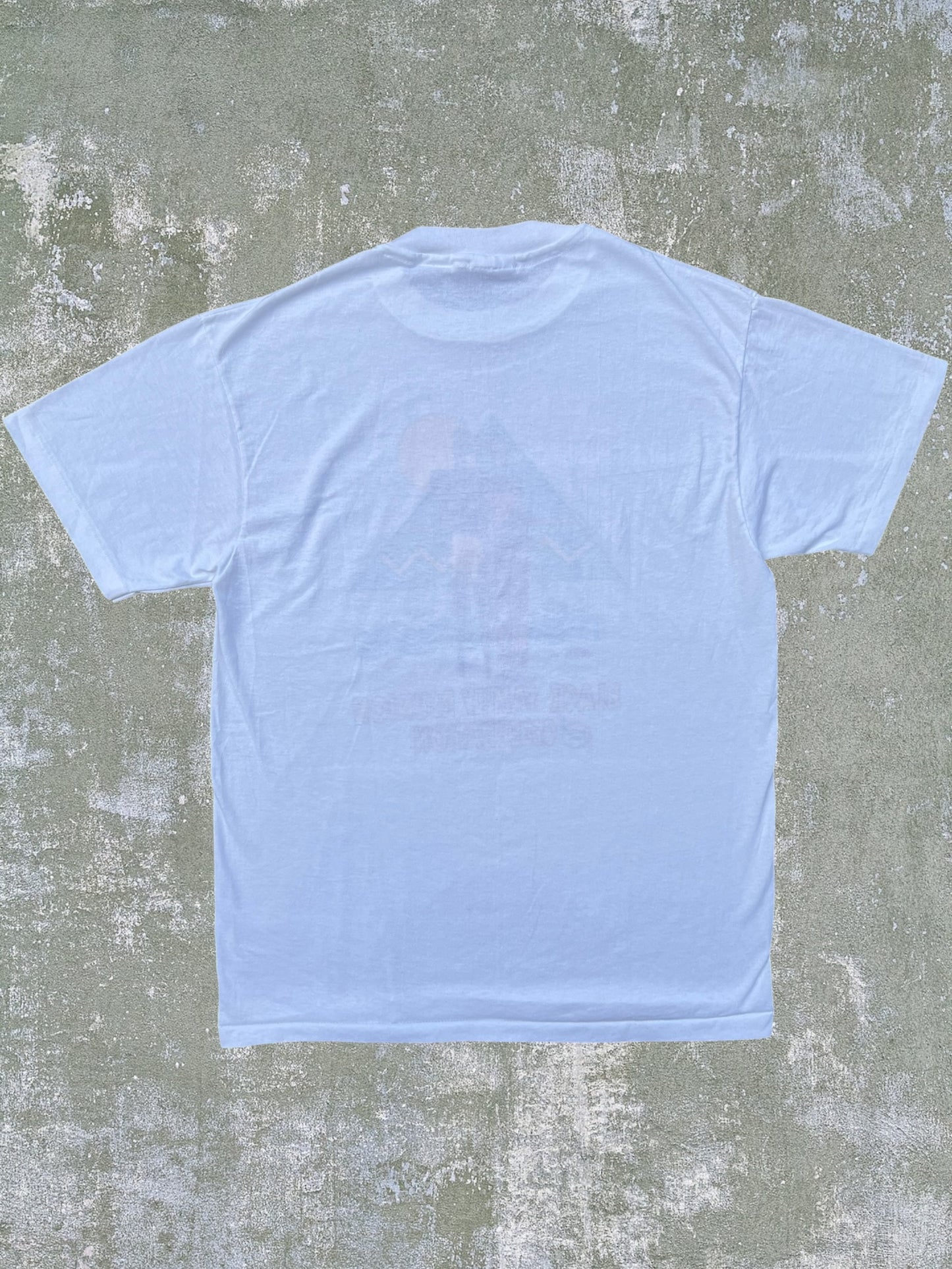 Early-90s “Black Family Reunion” NCNW Tee (L)