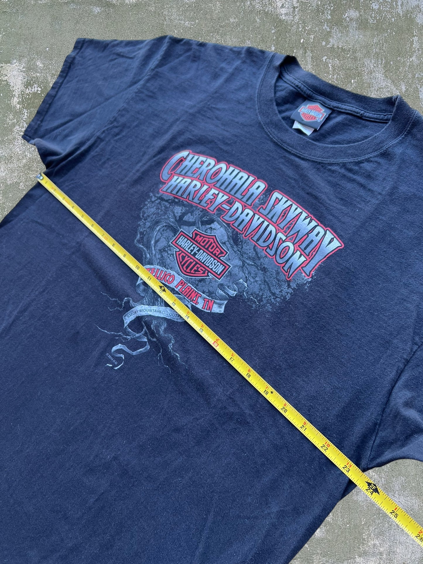 2014 Harley Davidson Dragon Tee (XL)