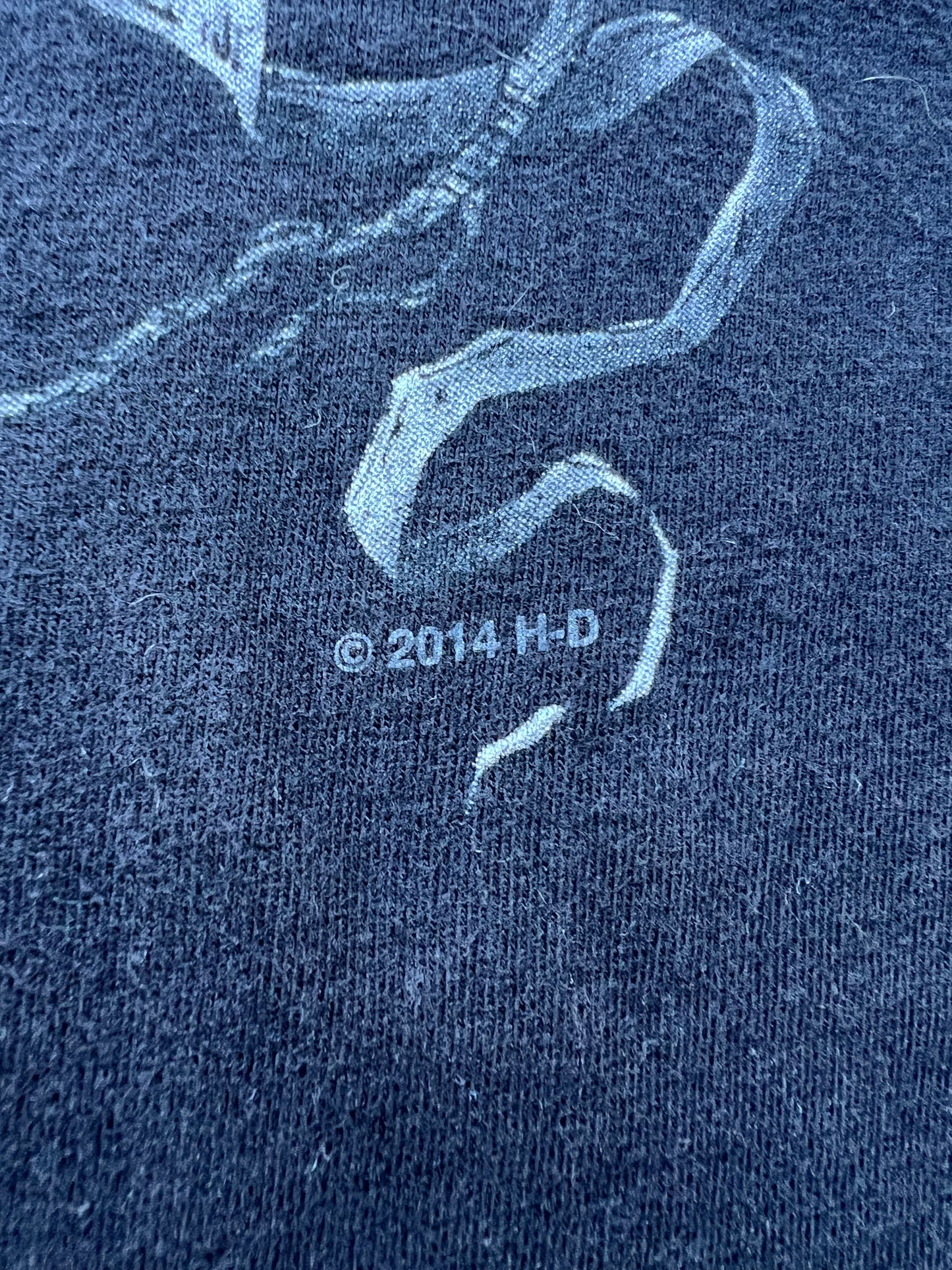 2014 Harley Davidson Dragon Tee (XL)
