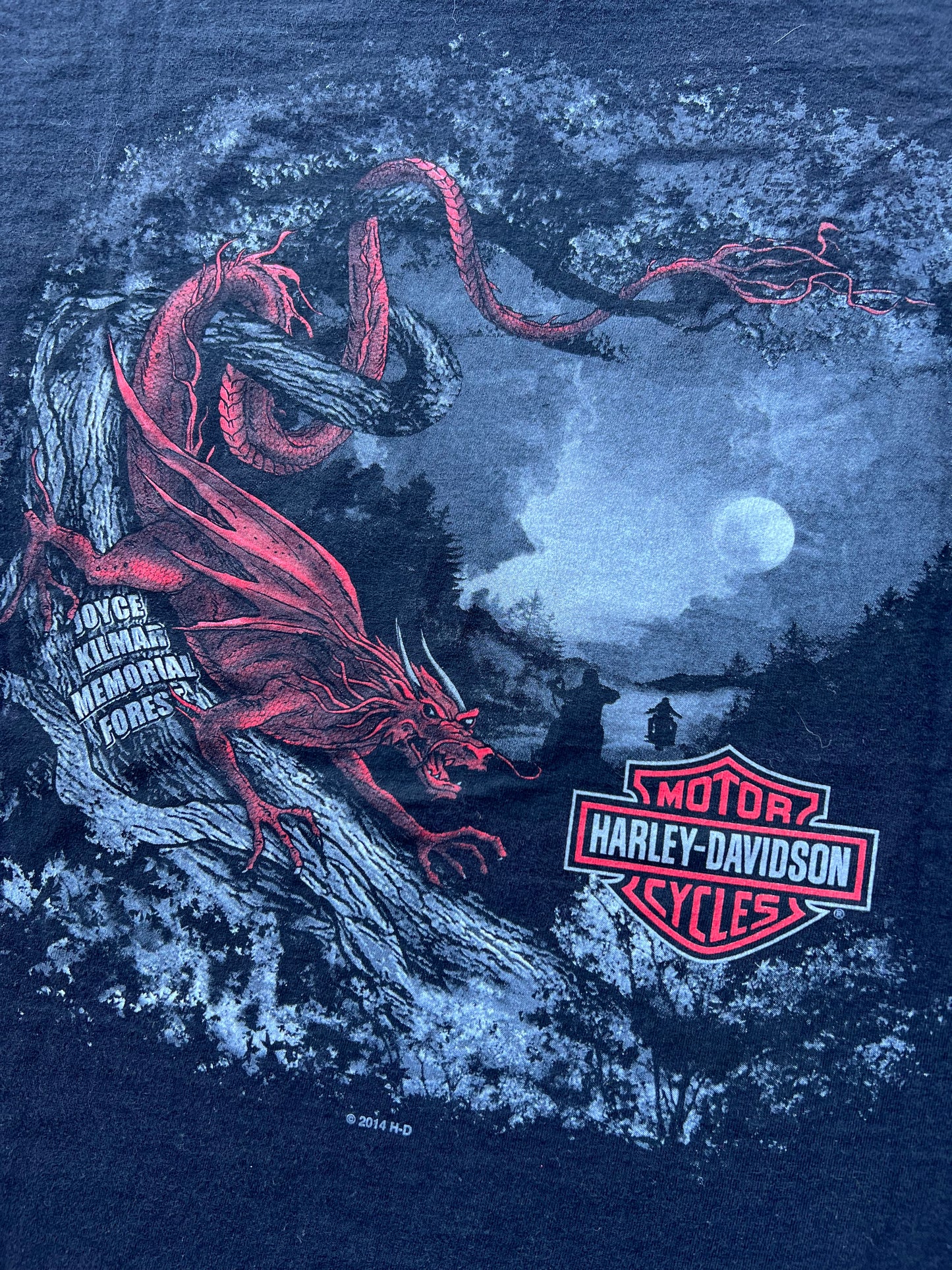 2014 Harley Davidson Dragon Tee (XL)