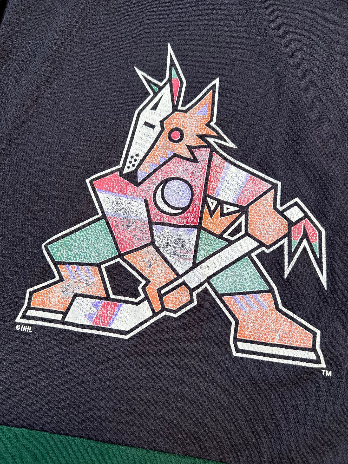 ‘90s Logo 7 Arizona Coyotes Roenick Jersey (M)