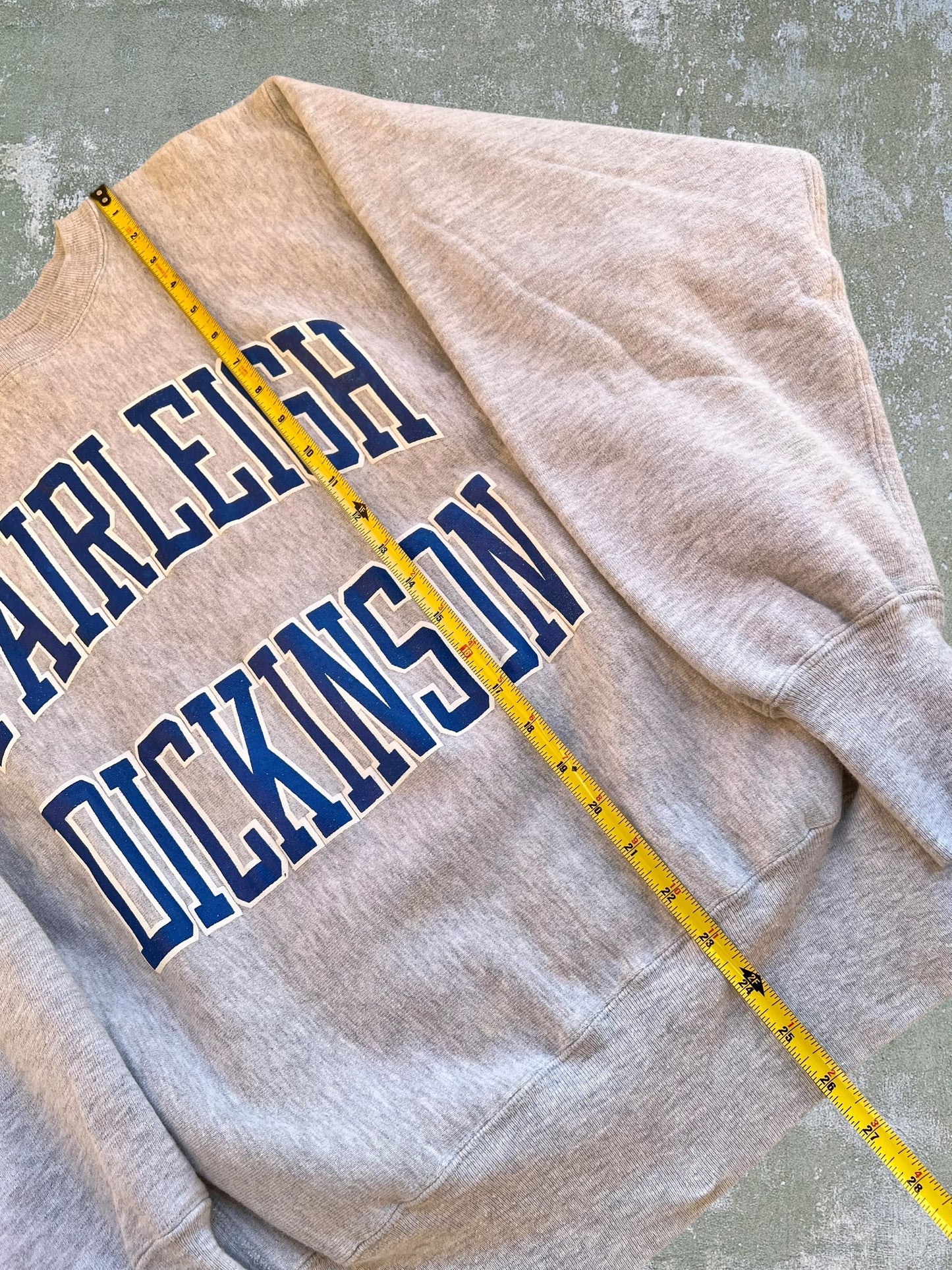 ‘90s Champion Reverse Weave Fairleigh Dickinson Crewneck (L)