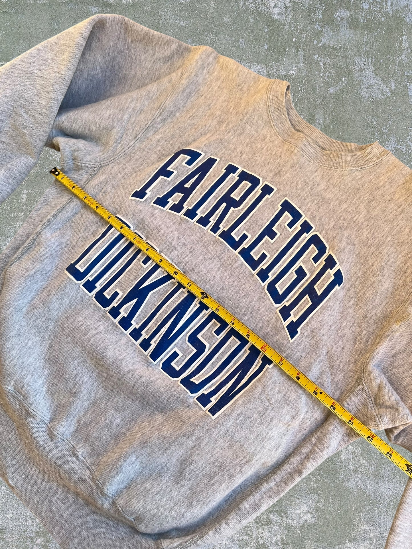 ‘90s Champion Reverse Weave Fairleigh Dickinson Crewneck (L)