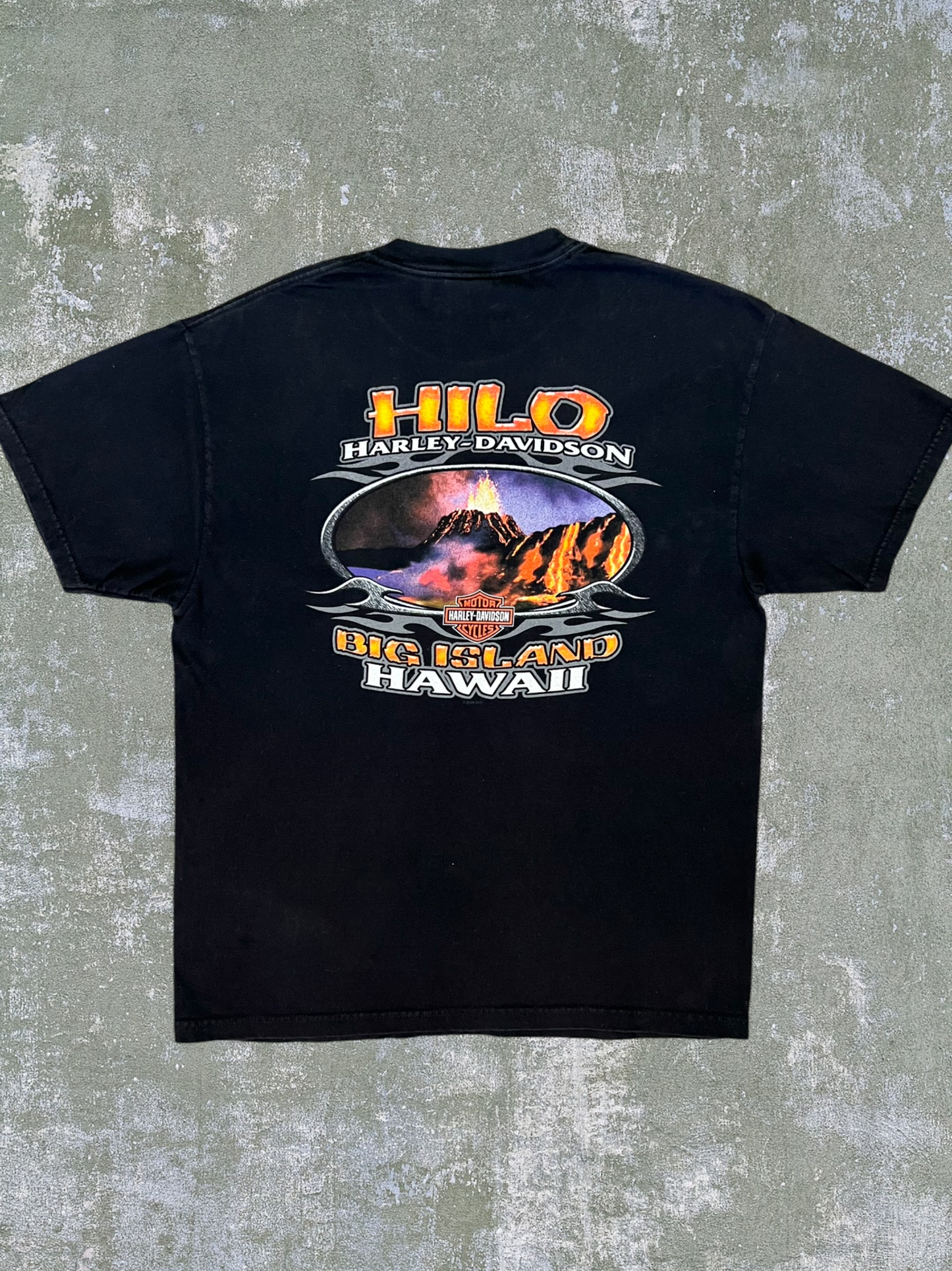 2005 Harley Davidson Hawaii Tee (L)