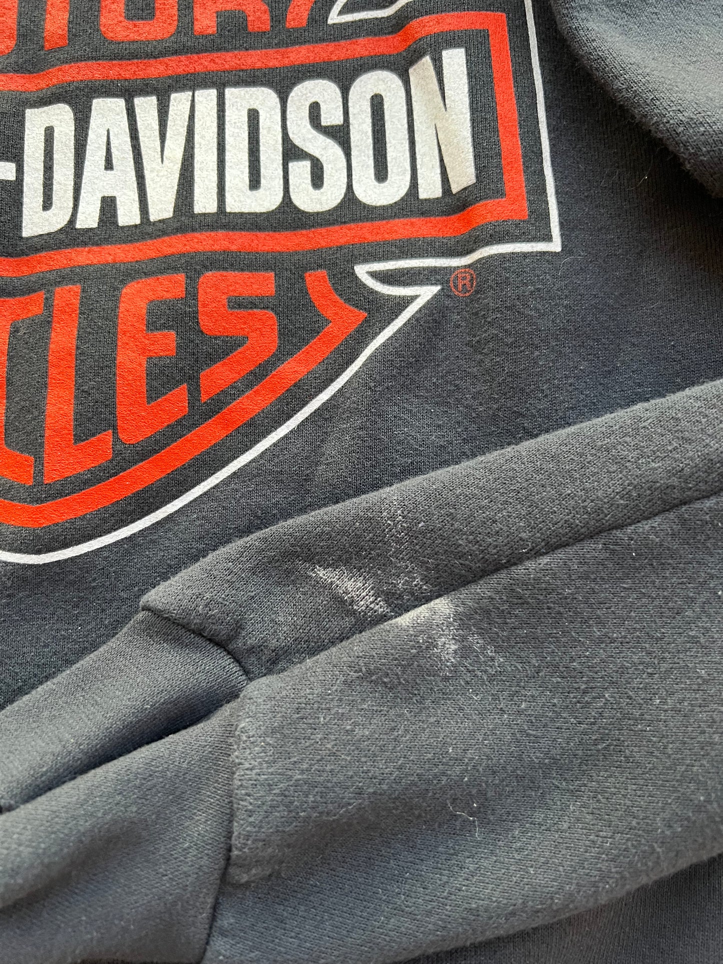 1996 Harley Davidson Crewneck (XL)