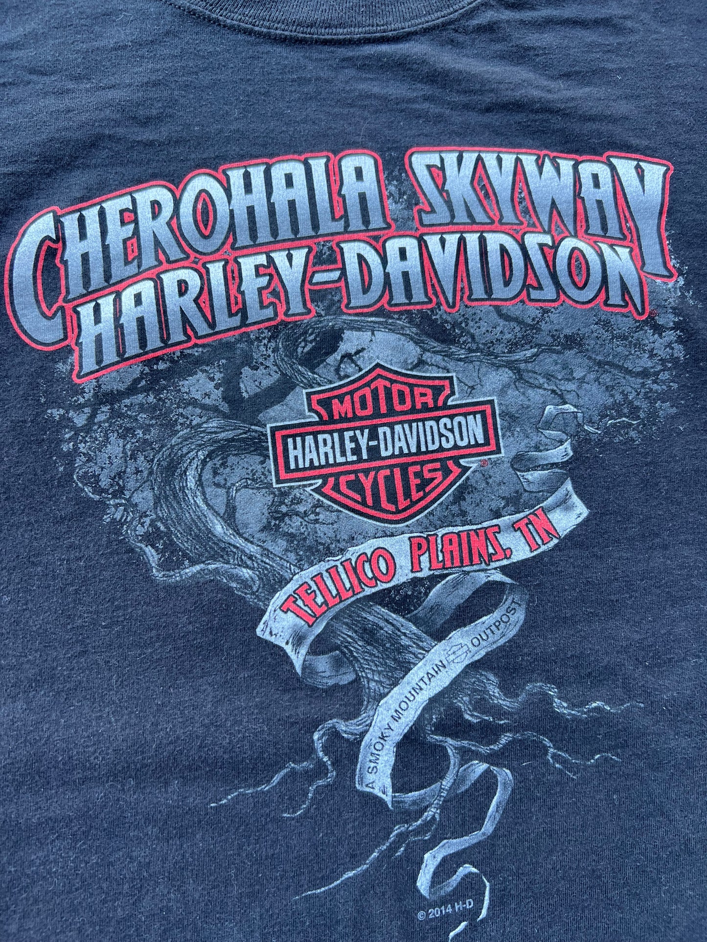 2014 Harley Davidson Dragon Tee (XL)