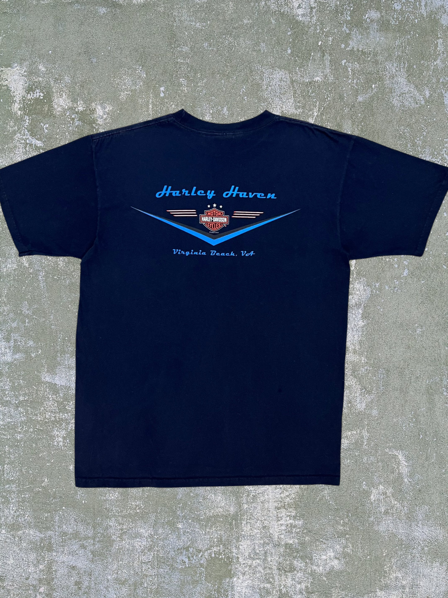 2001 Harley Davidson Virginia Beach Tee (L)