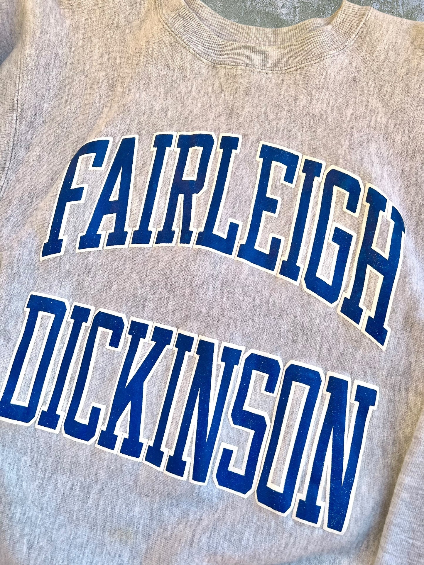 ‘90s Champion Reverse Weave Fairleigh Dickinson Crewneck (L)