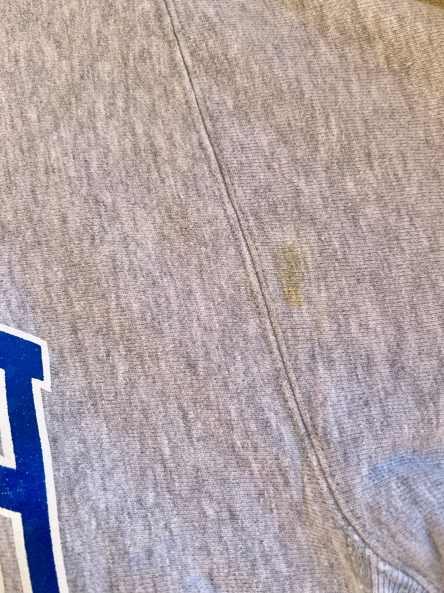 ‘90s Champion Reverse Weave Fairleigh Dickinson Crewneck (L)