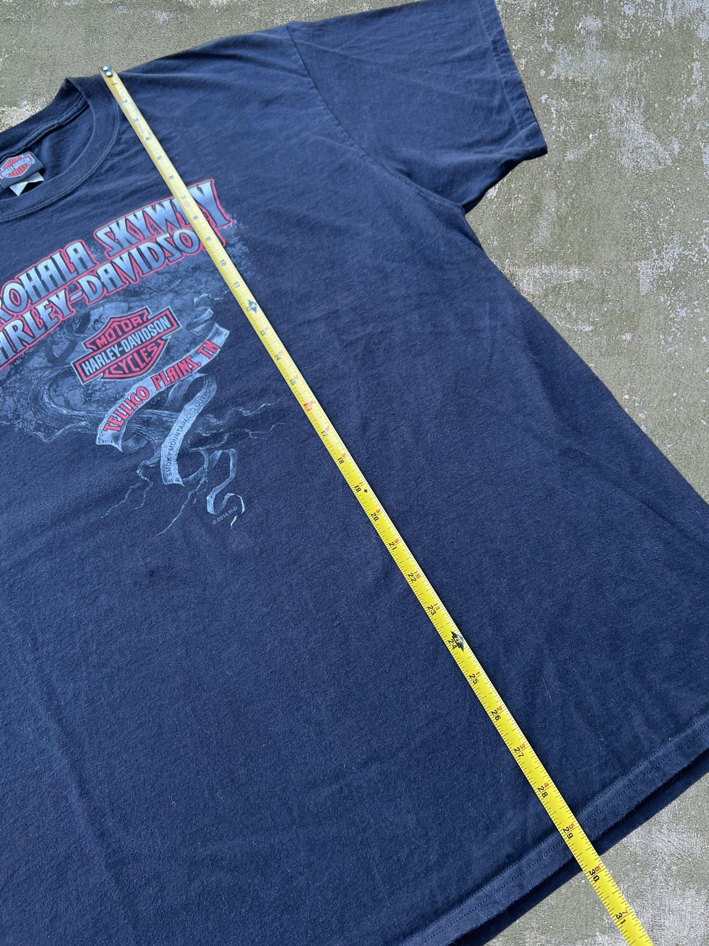 2014 Harley Davidson Dragon Tee (XL)