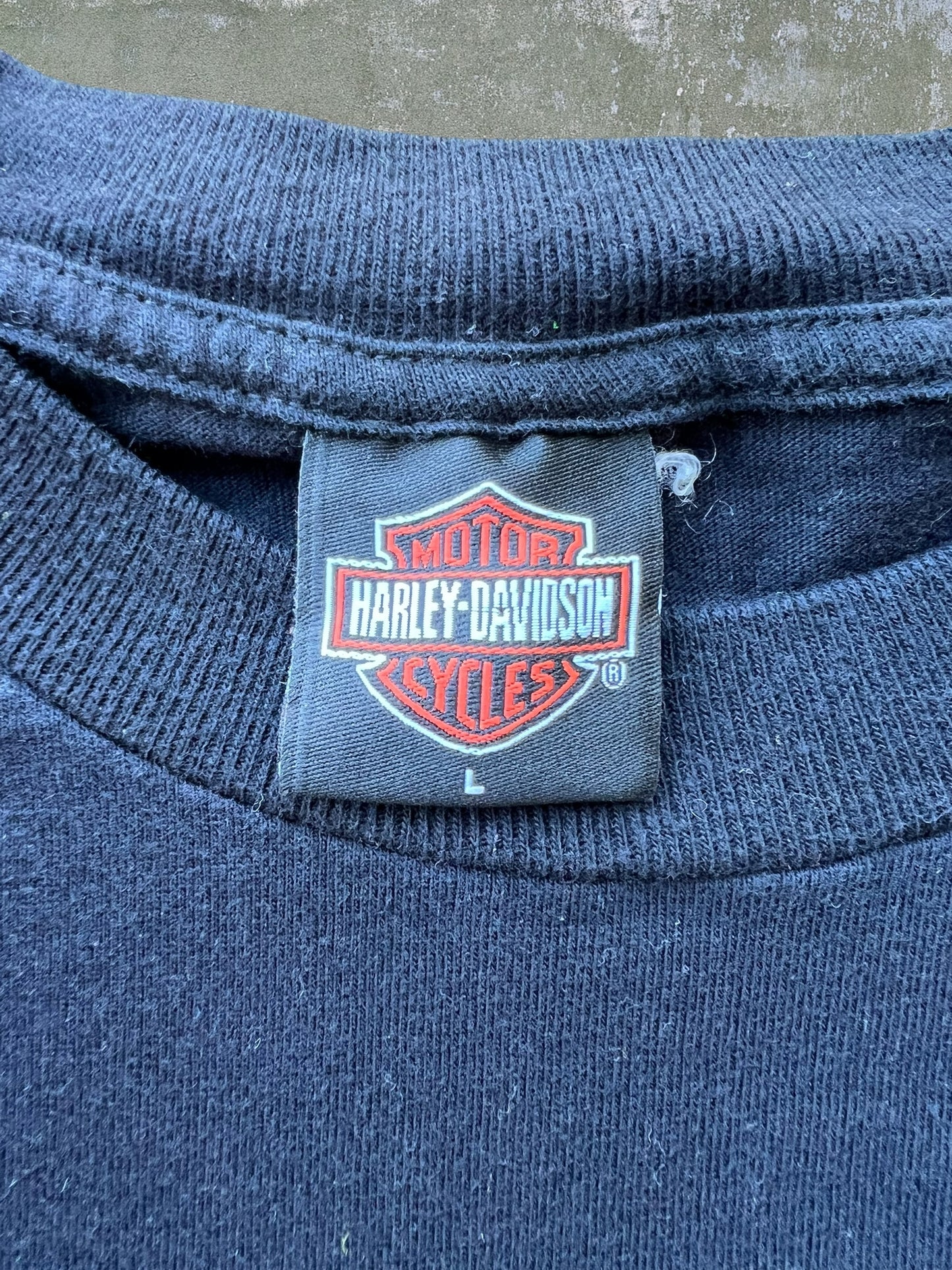 2005 Harley Davidson “Ride Of The Patriots” Tee (L)