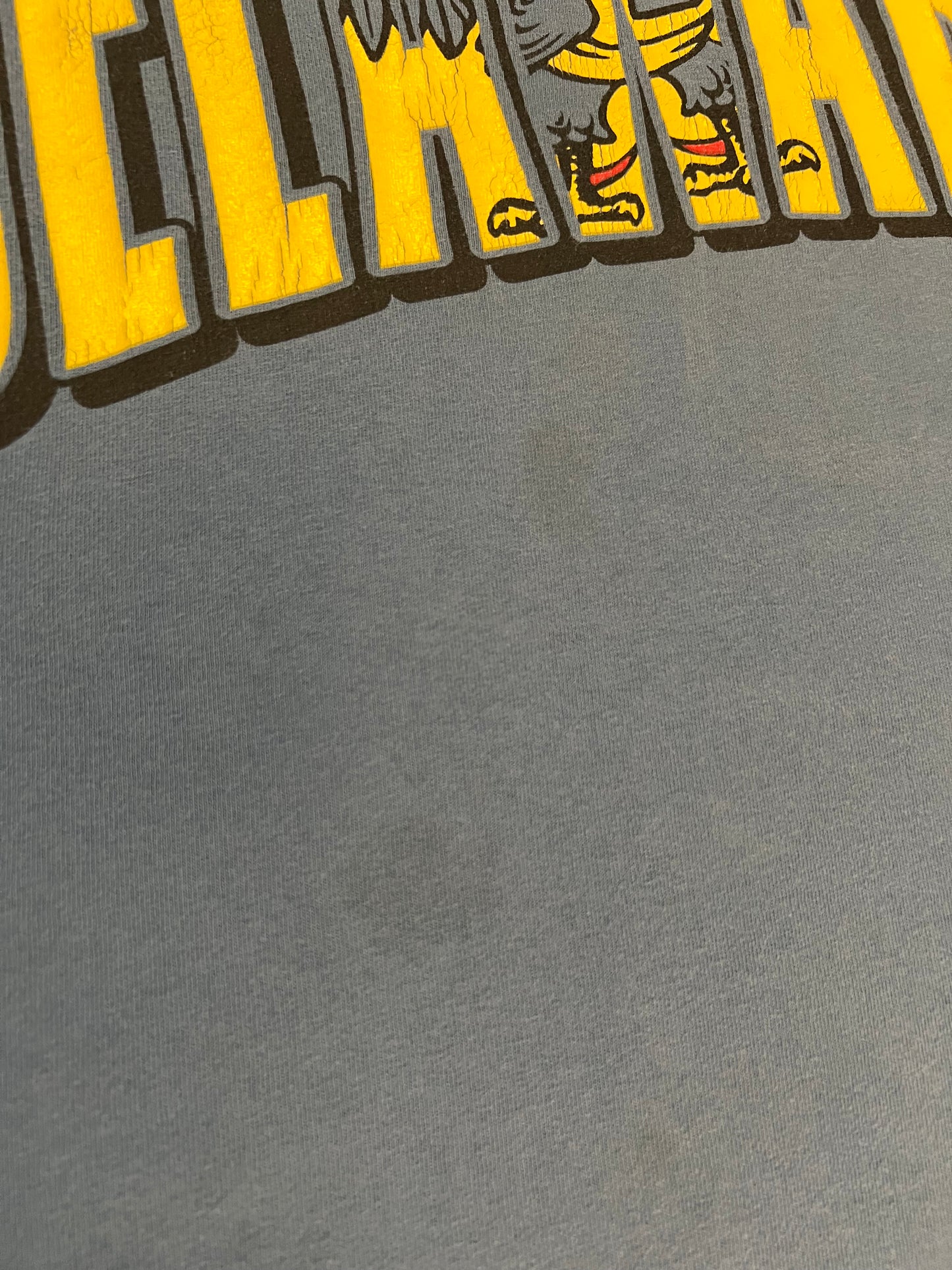 ‘90s University Of Delaware Blue Hens Tee (L)