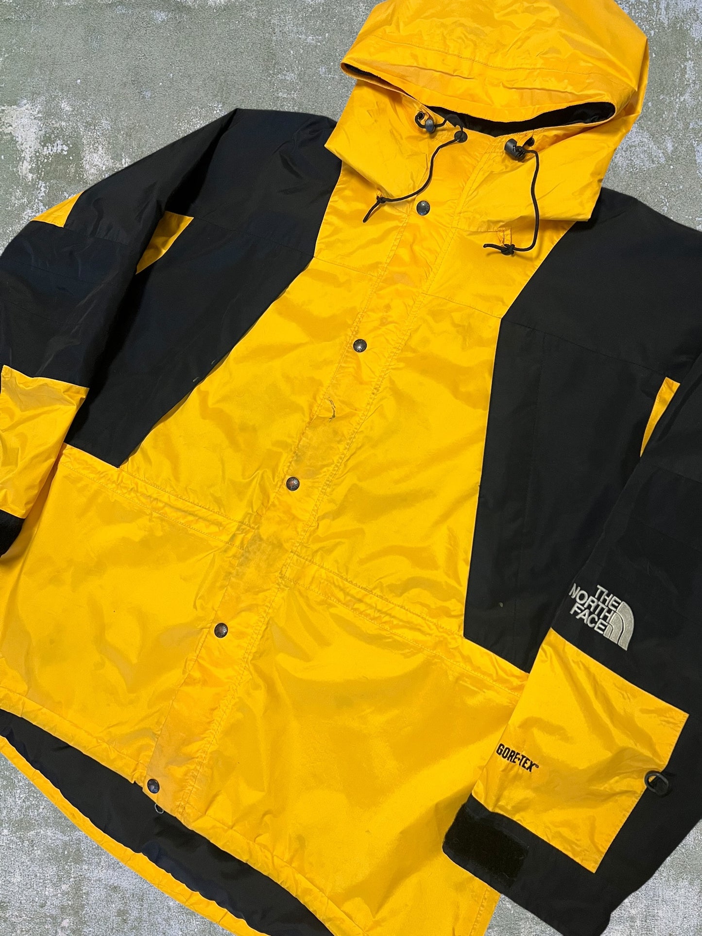 ‘90s The North Face Mountain Light Jacket (XL)