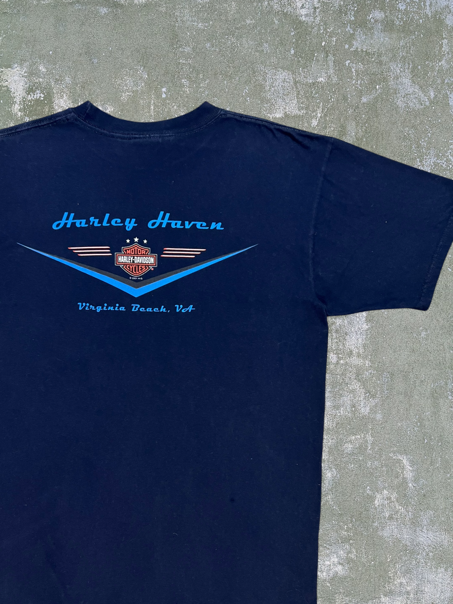 2001 Harley Davidson Virginia Beach Tee (L)