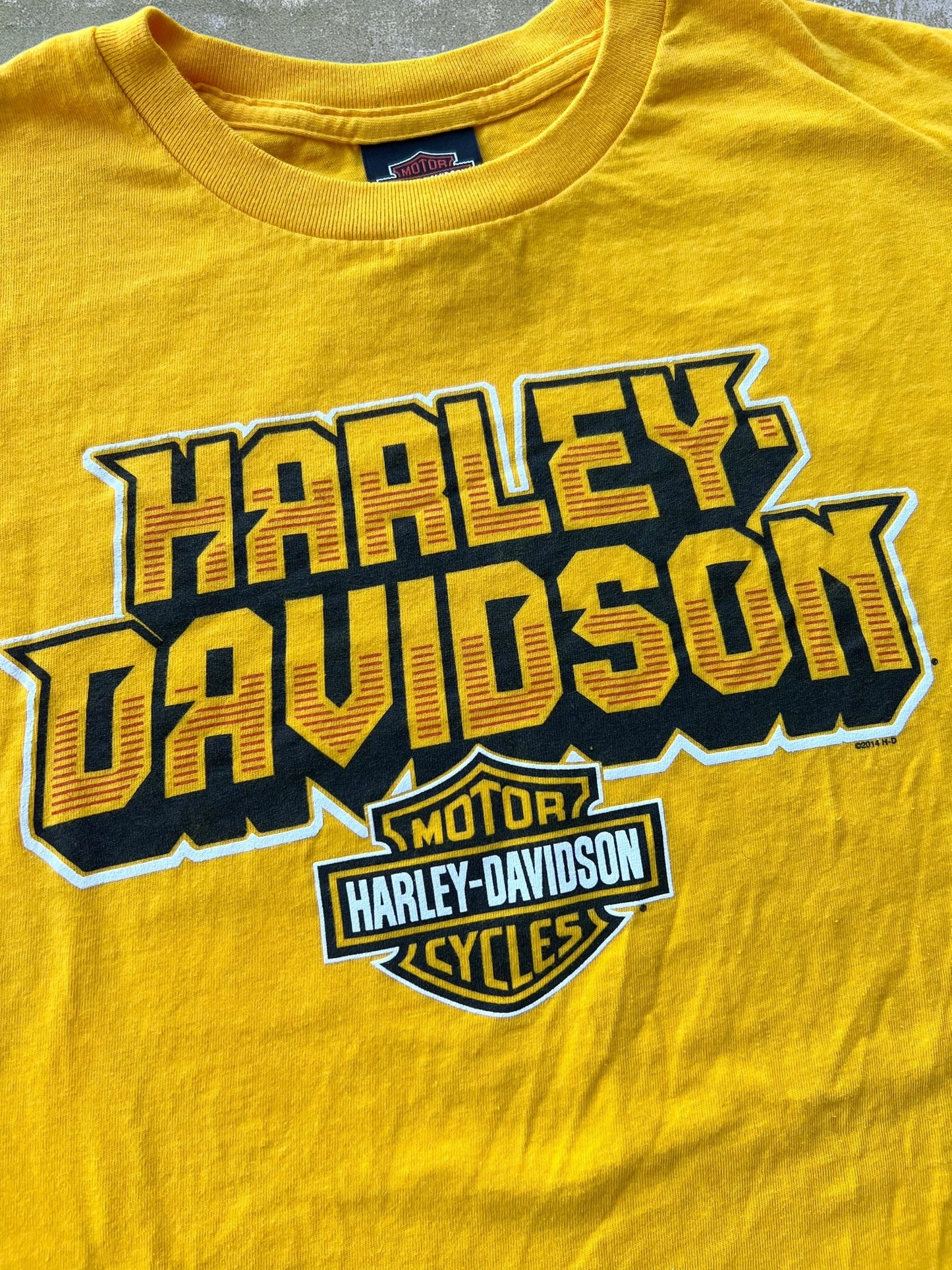 2014 Harley Davidson Tee (XL)