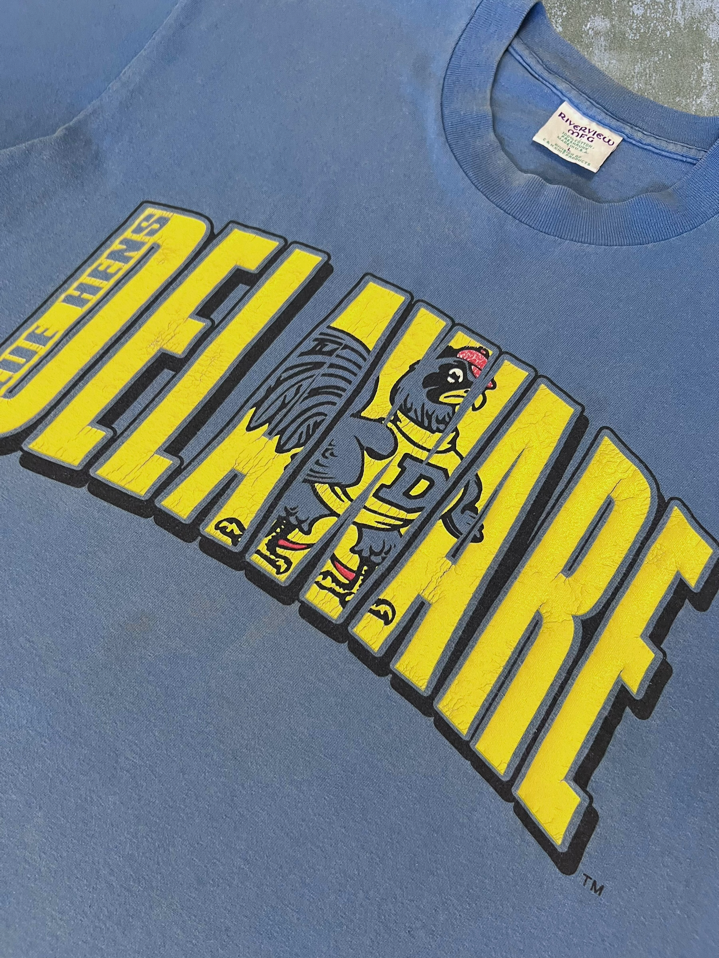 ‘90s University Of Delaware Blue Hens Tee (L)