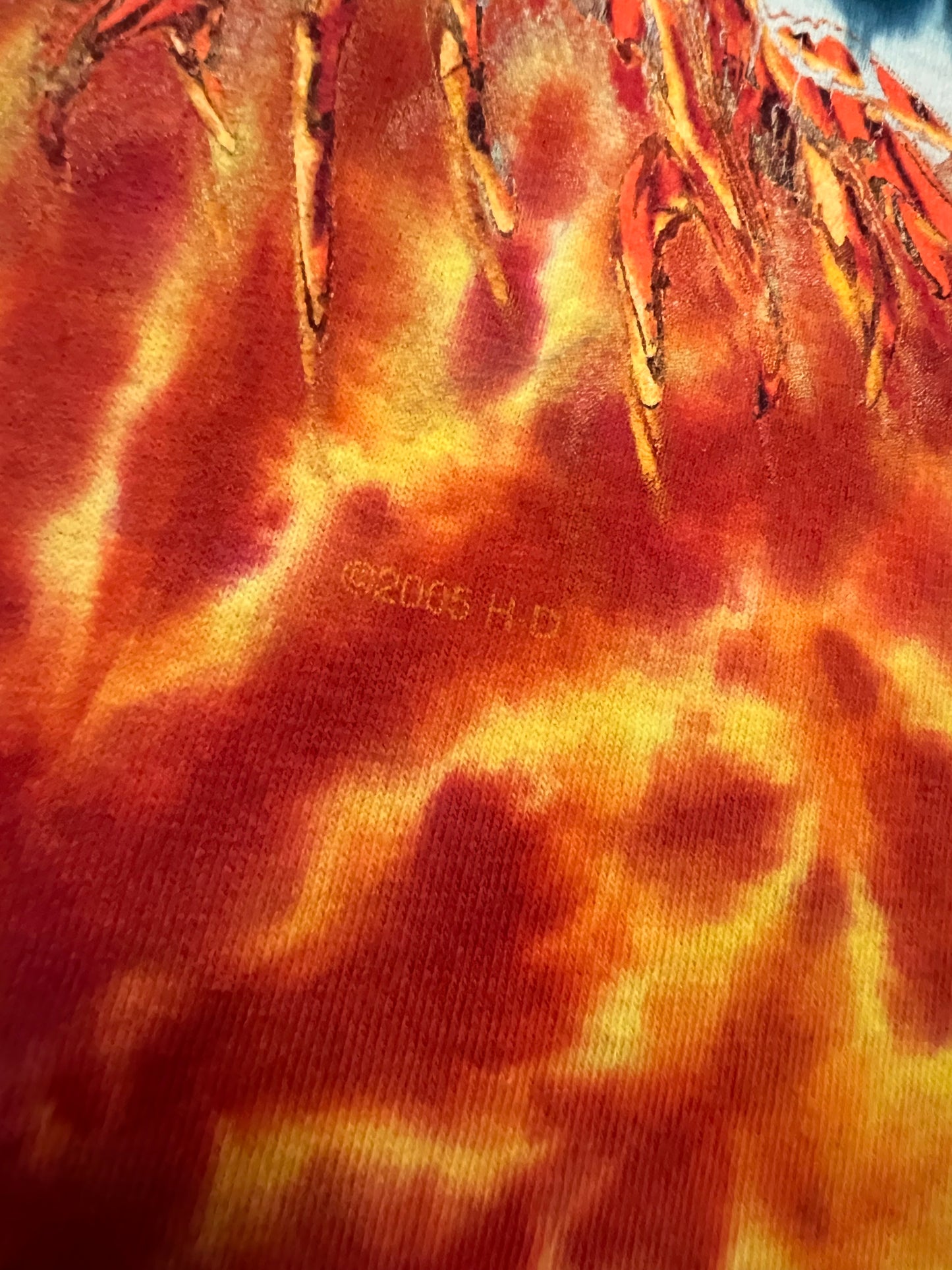 2005 Harley Davidson Tie Dye Tee (XL)
