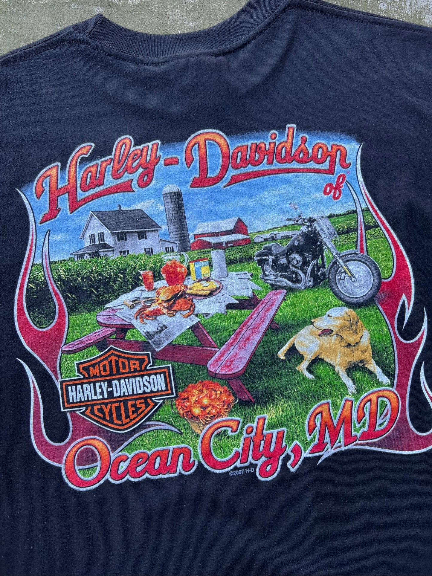 2010 Harley Davidson Tee (L) (New With Tags)