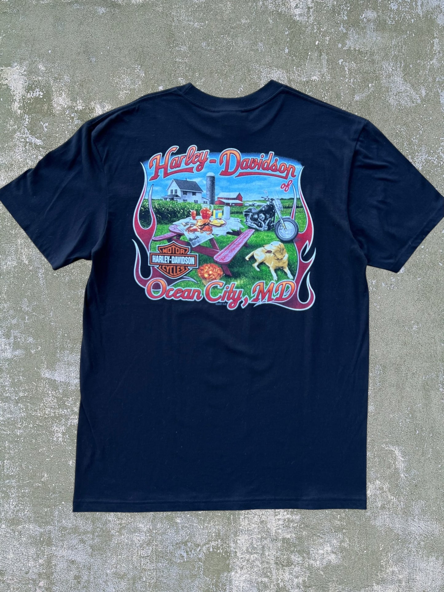 2010 Harley Davidson Tee (L) (New With Tags)