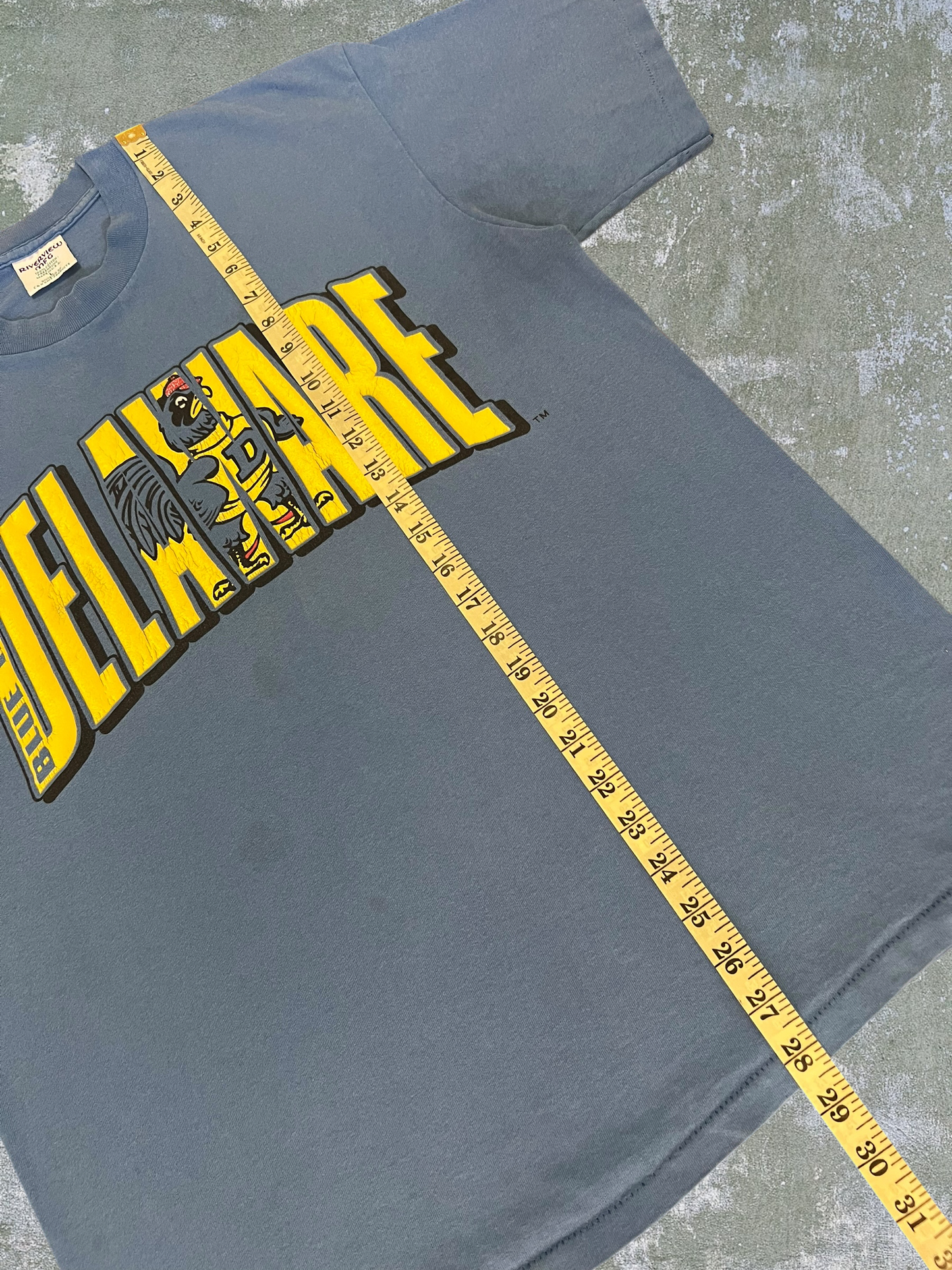‘90s University Of Delaware Blue Hens Tee (L)