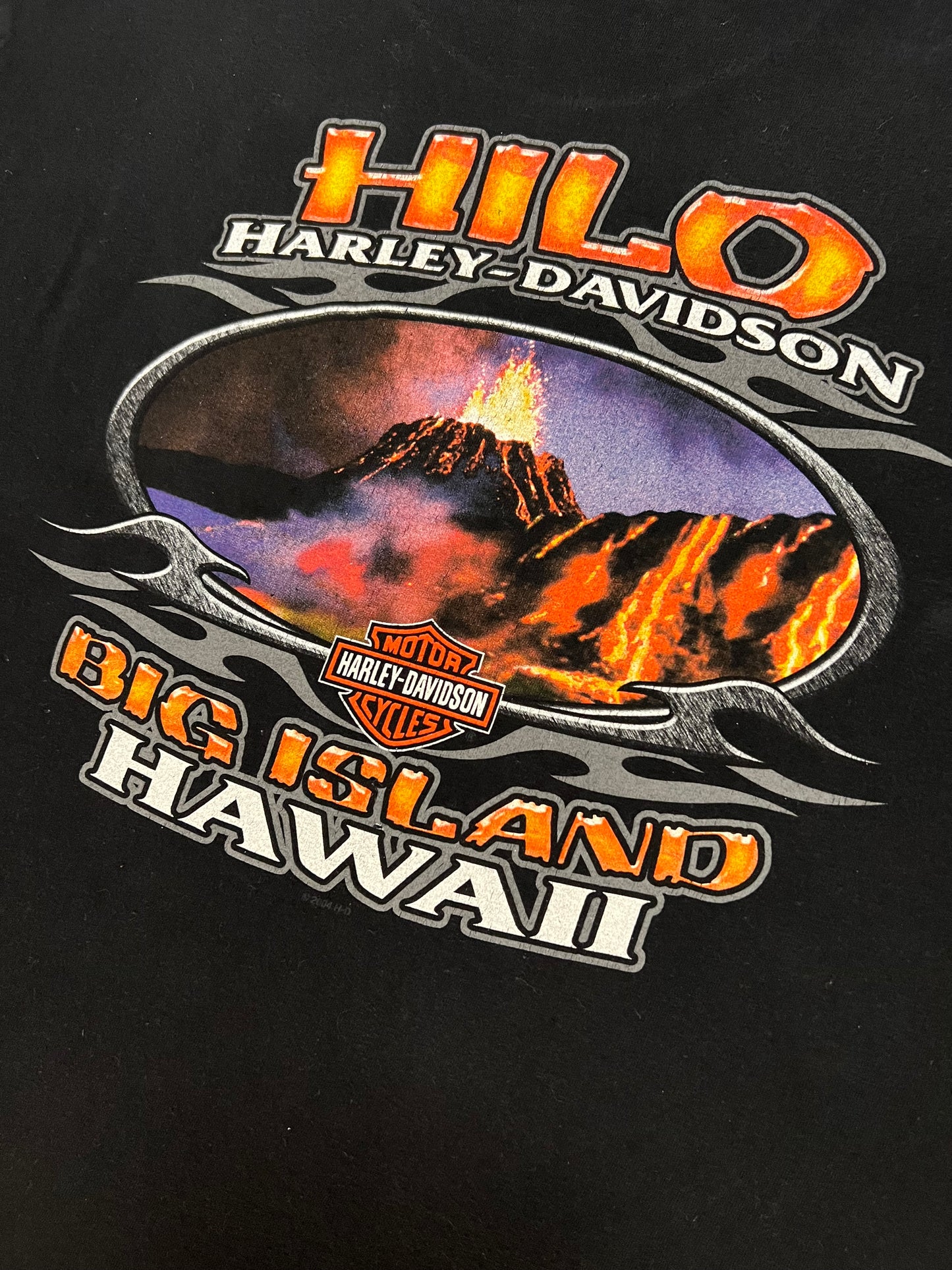 2005 Harley Davidson Hawaii Tee (L)