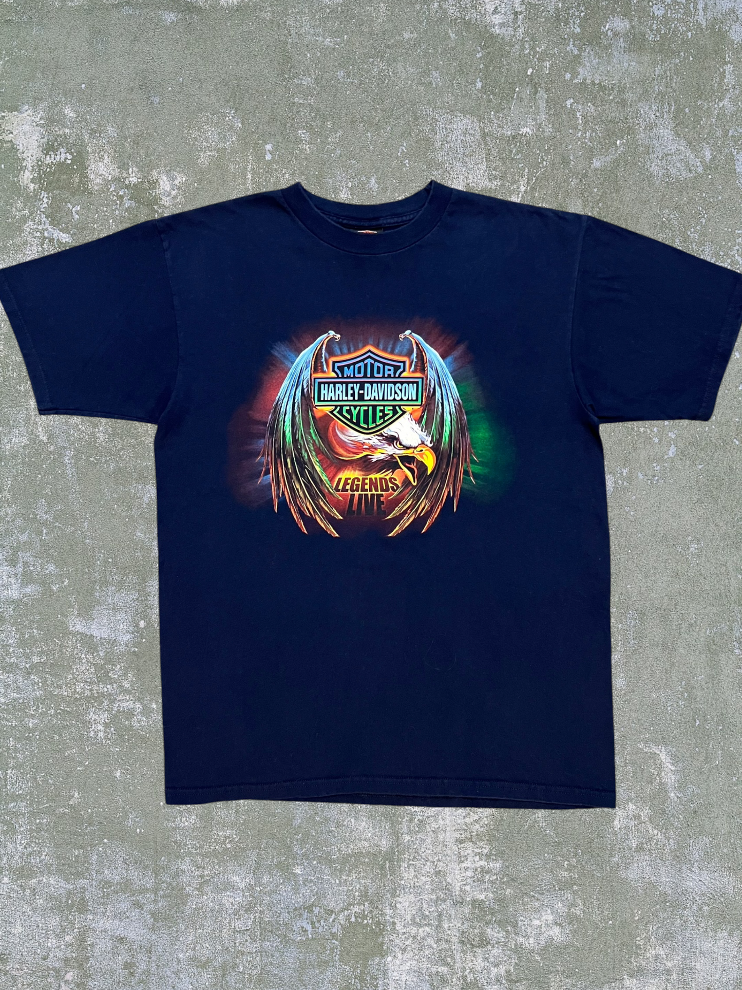 2001 Harley Davidson Virginia Beach Tee (L)