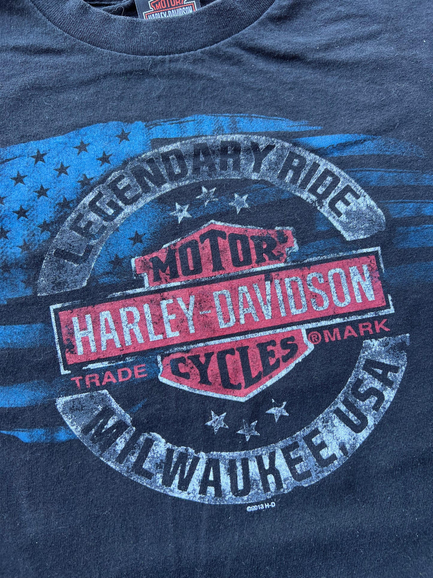 2013 Harley Davidson Tee (XL)