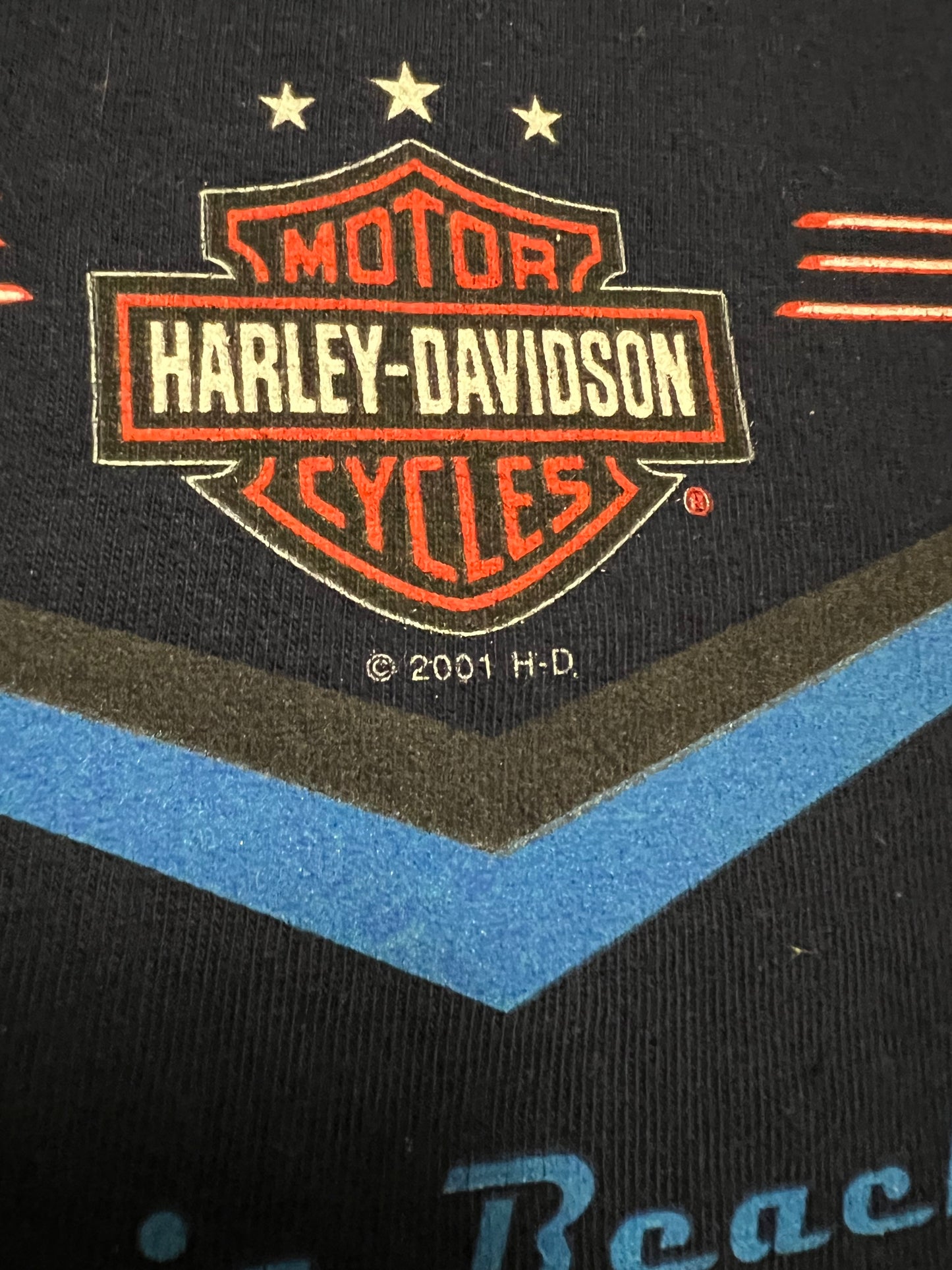 2001 Harley Davidson Virginia Beach Tee (L)