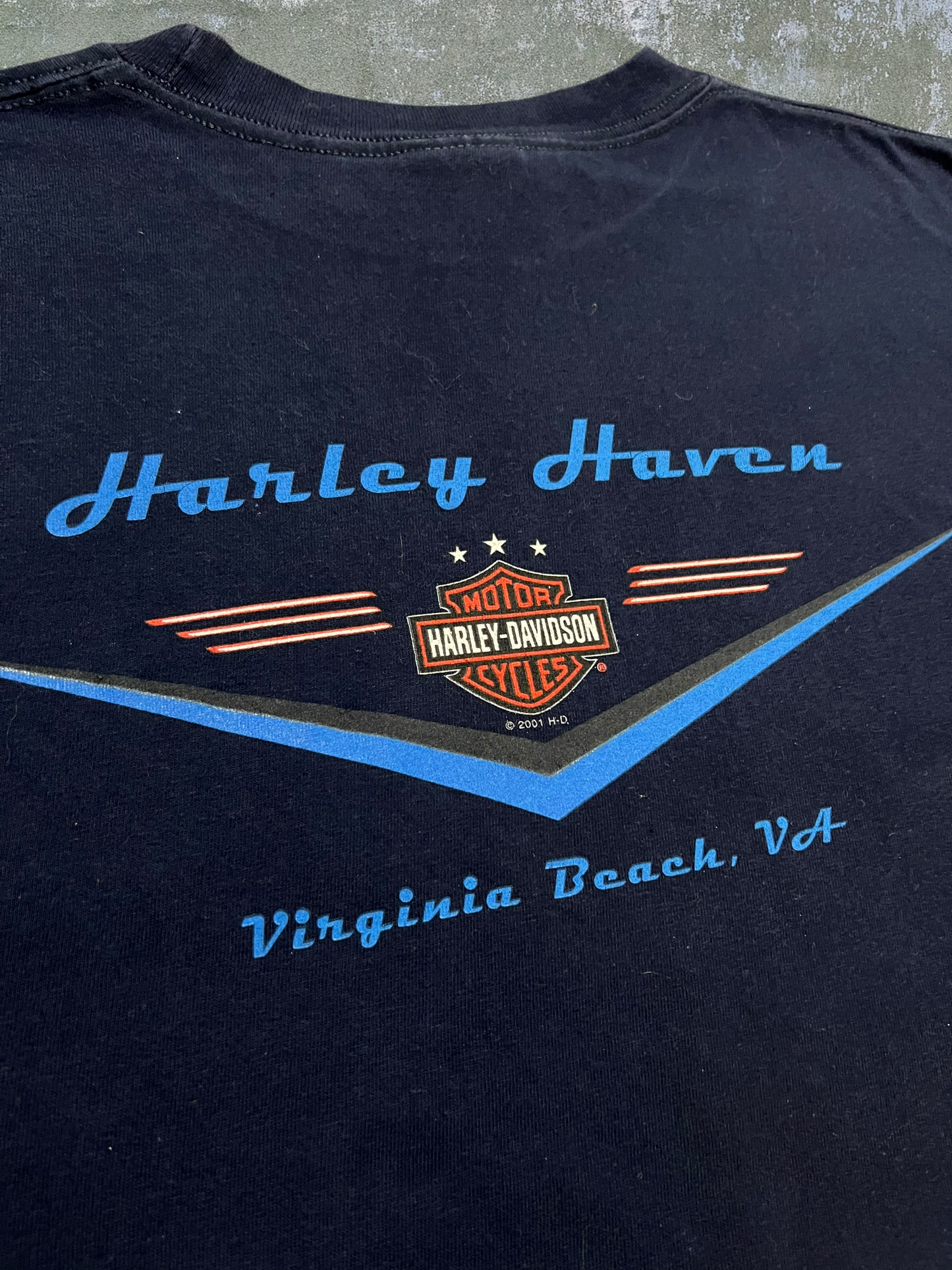 2001 Harley Davidson Virginia Beach Tee (L)
