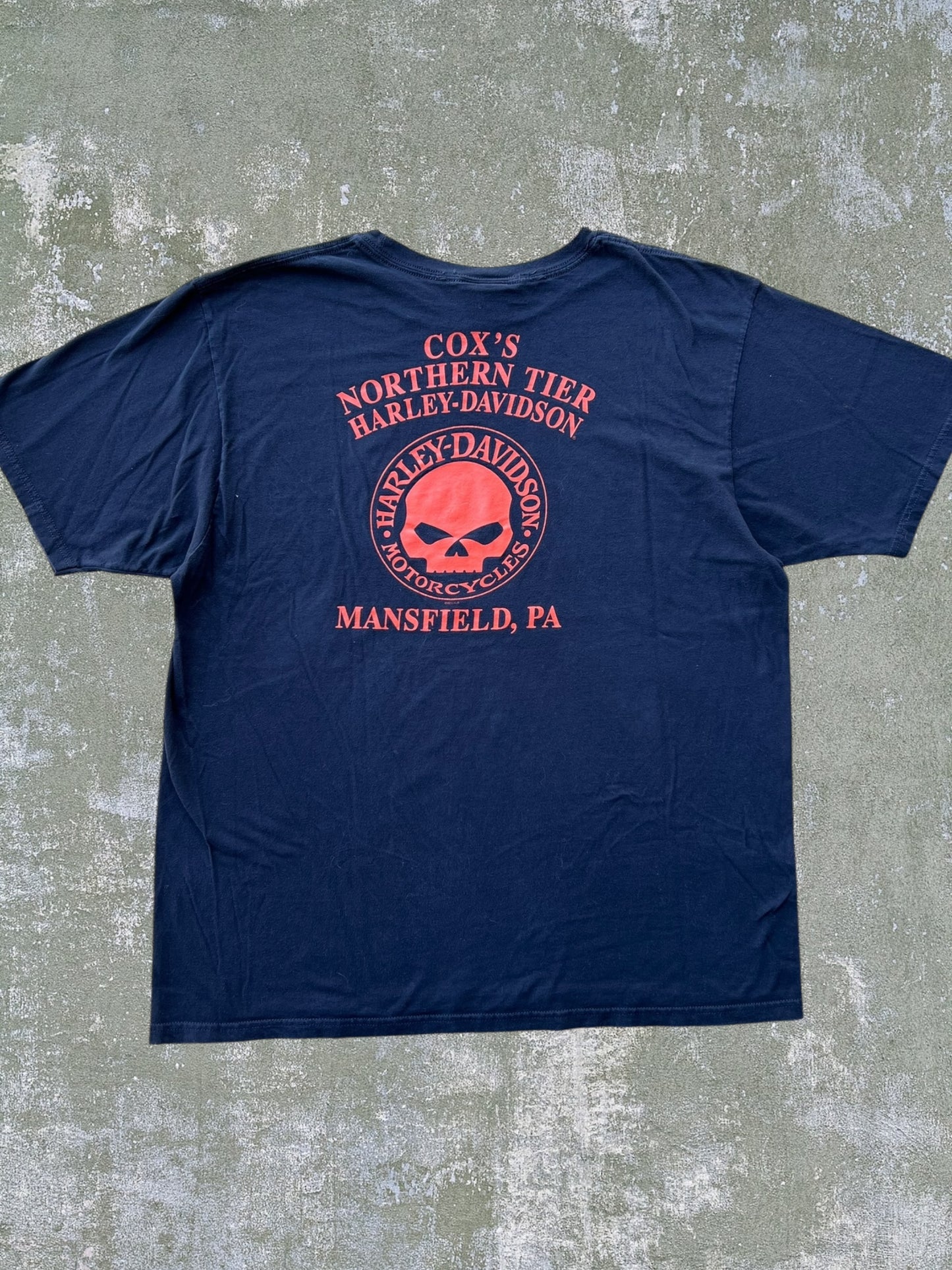 2013 Harley Davidson Tee (L)