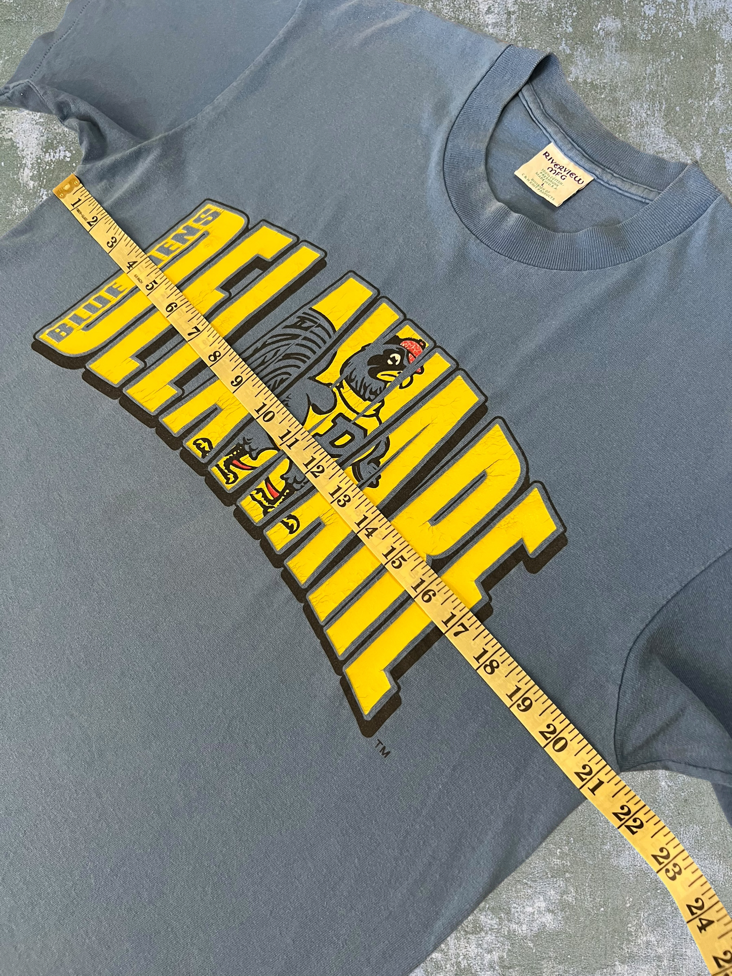 ‘90s University Of Delaware Blue Hens Tee (L)