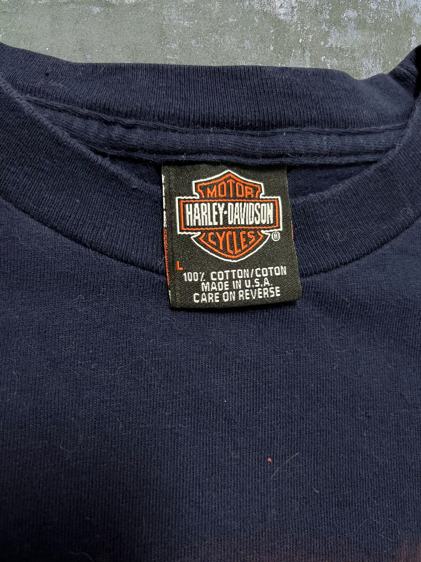 2001 Harley Davidson Virginia Beach Tee (L)