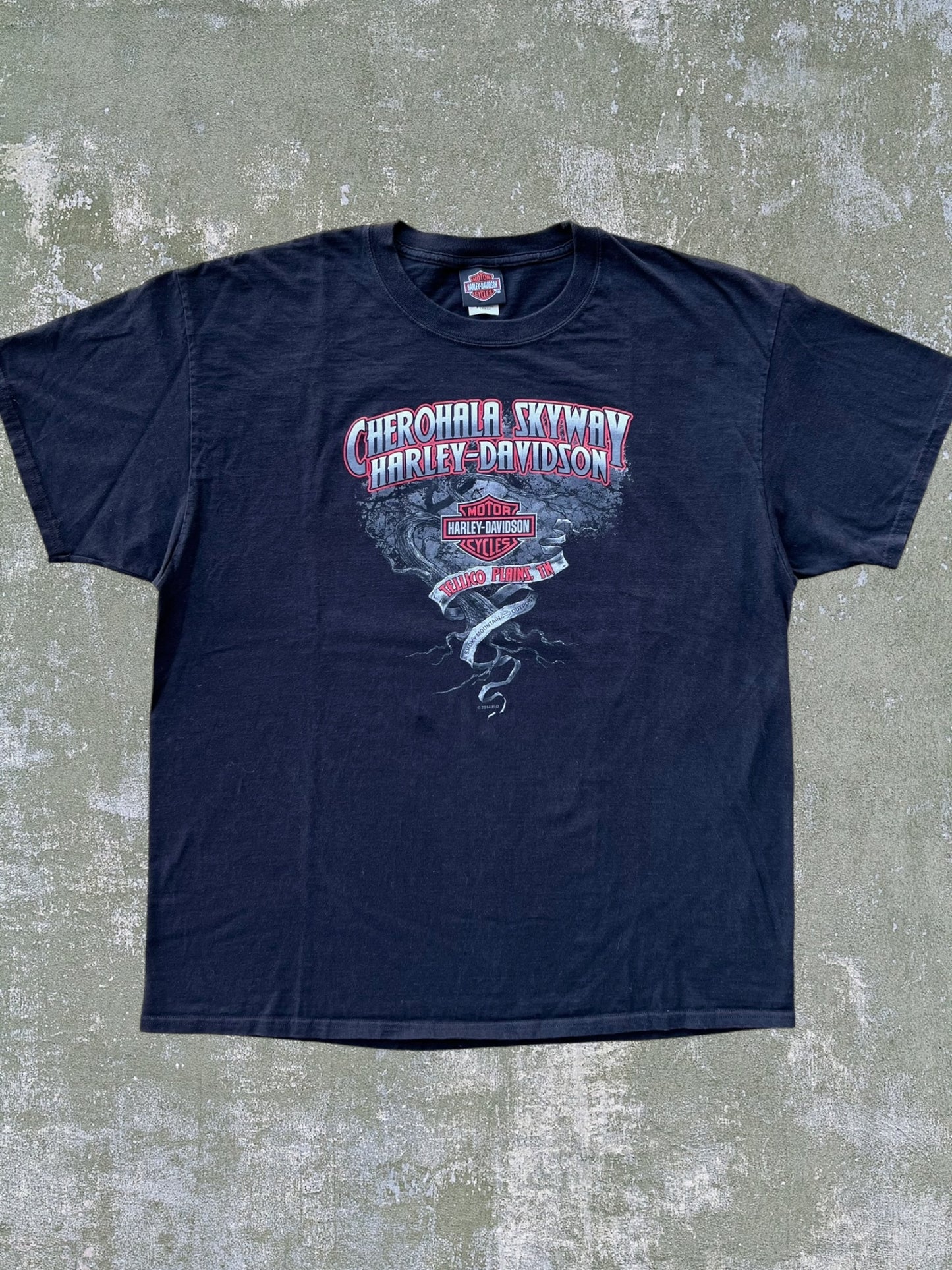 2014 Harley Davidson Dragon Tee (XL)