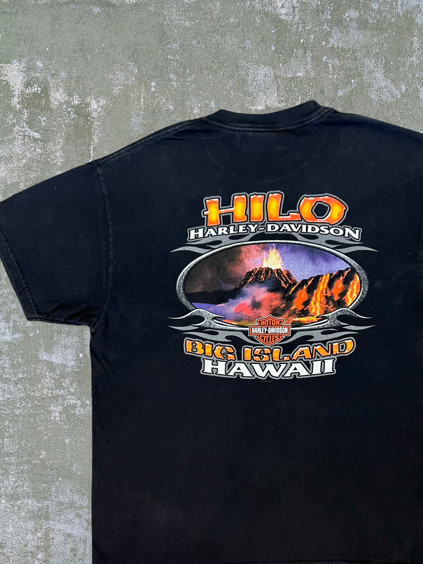 2005 Harley Davidson Hawaii Tee (L)