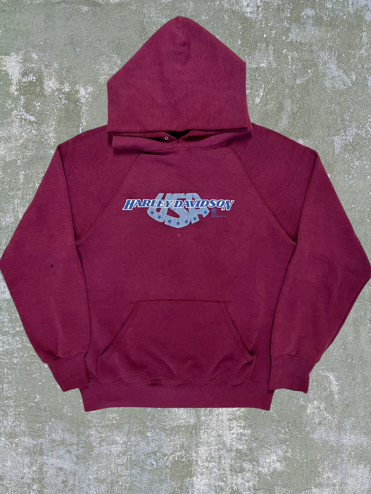 Late-80s Harley Davidson Hoodie (S)