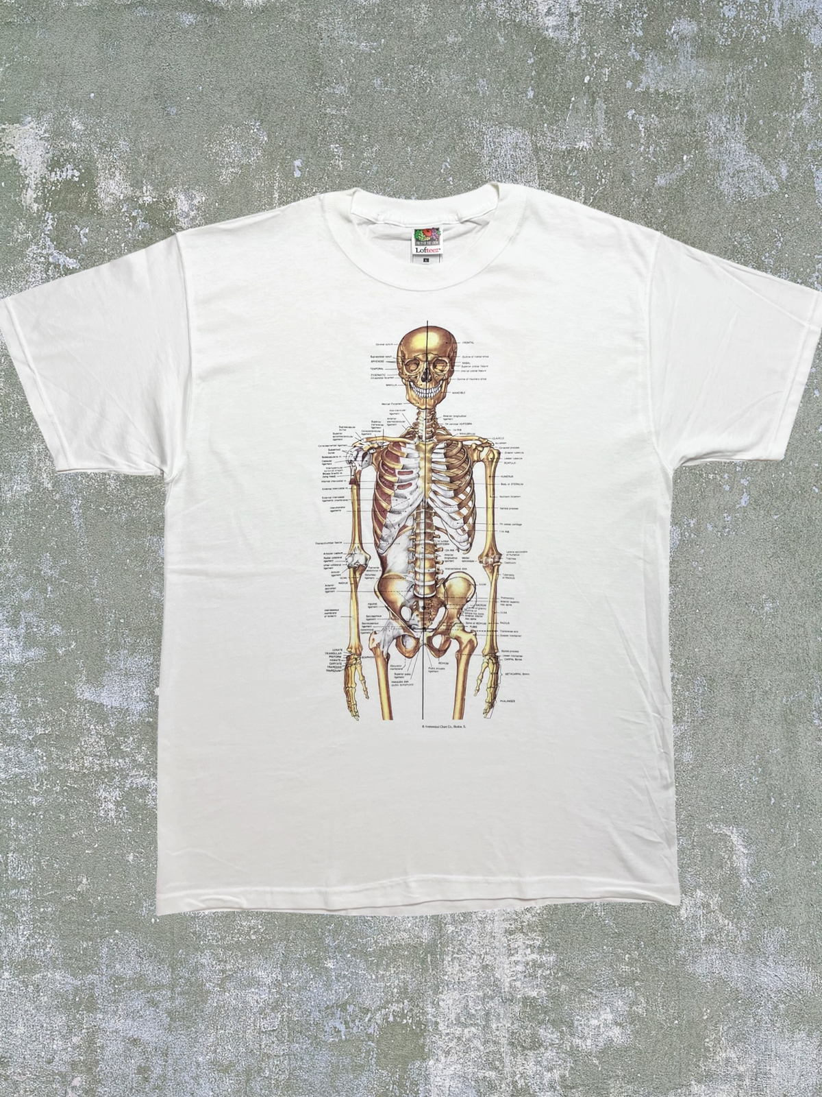 Late-90s Skeletal Anatomy Tee (L)