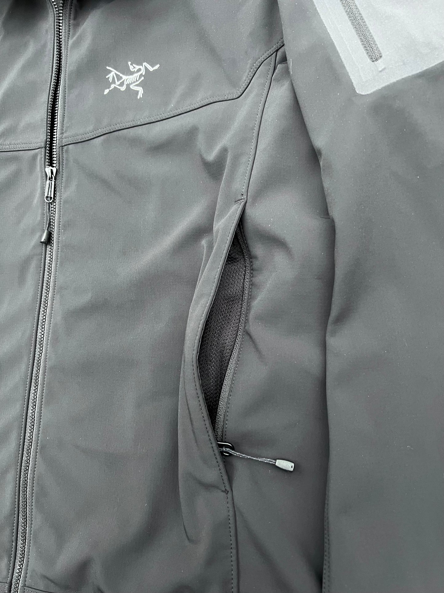 2013 Arc’teryx Epsilon Jacket (L)