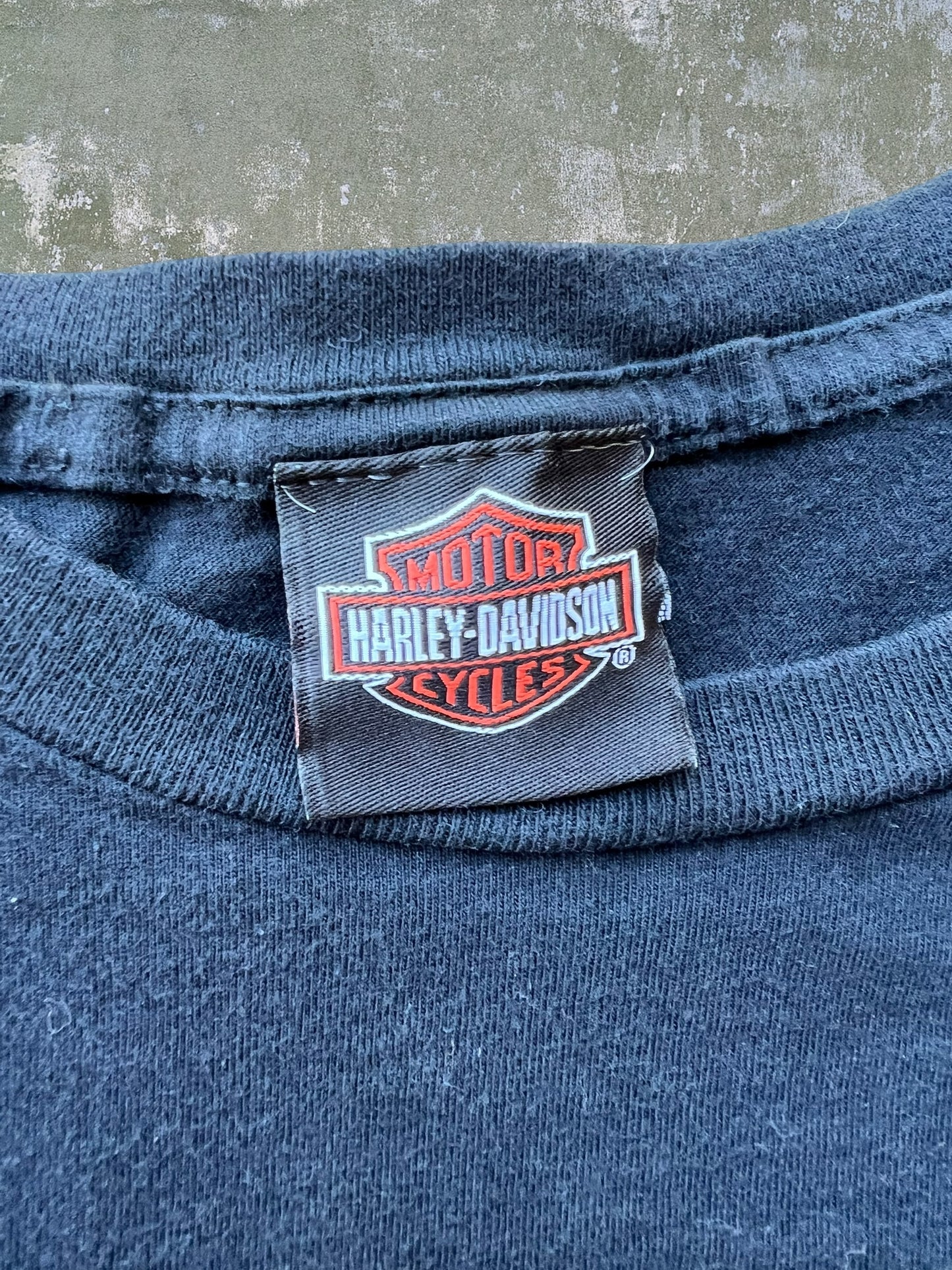 2013 Harley Davidson Tee (L)