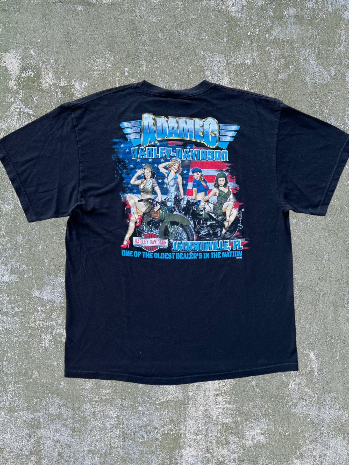 2013 Harley Davidson Tee (XL)