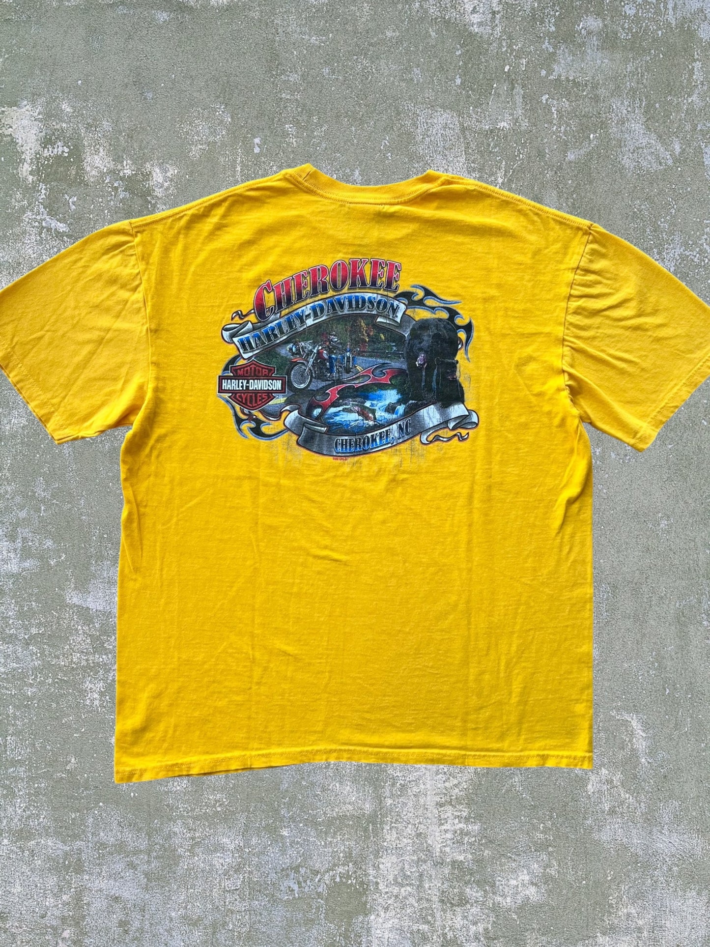 2014 Harley Davidson Tee (XL)