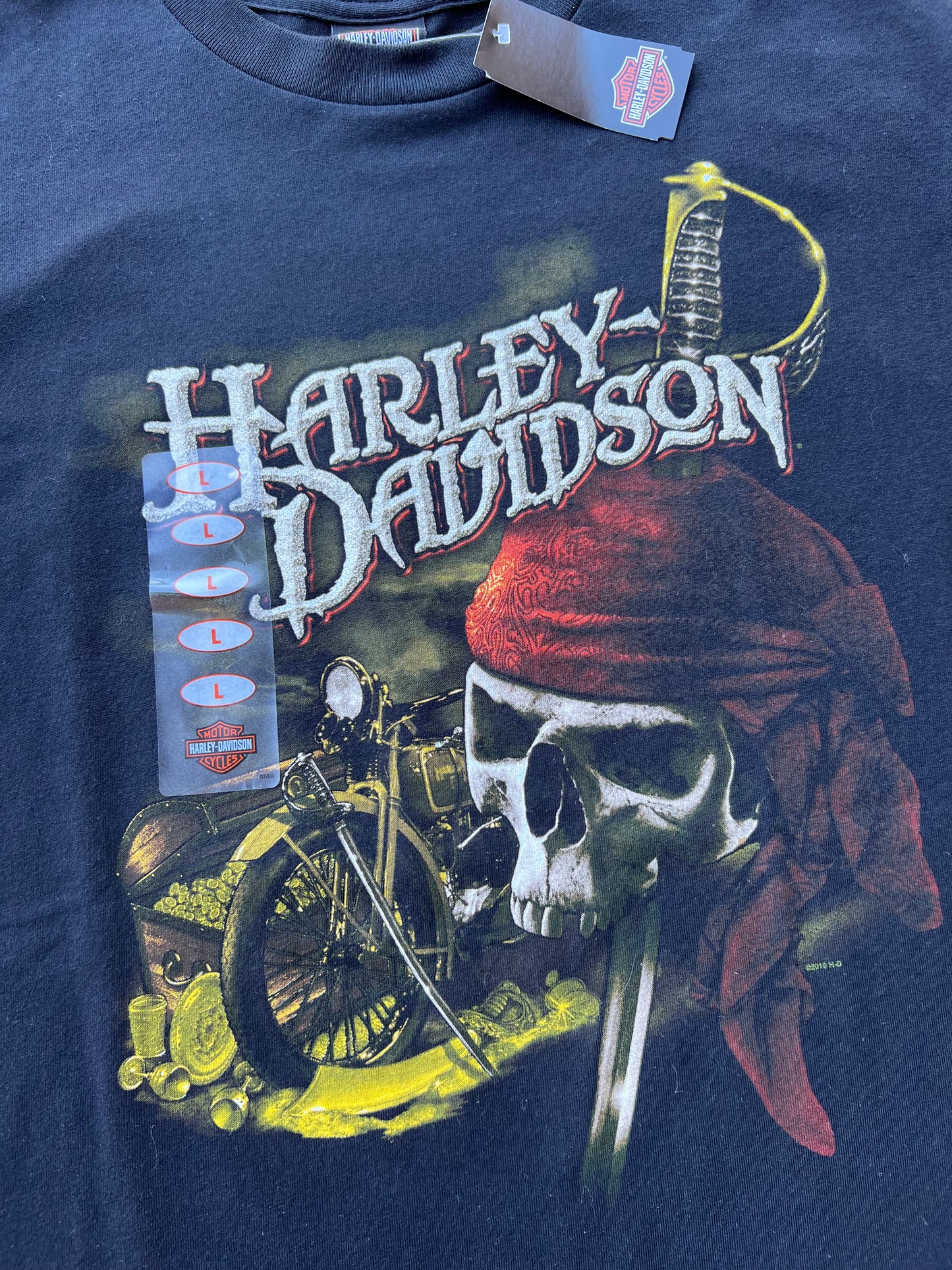2010 Harley Davidson Tee (L) (New With Tags)